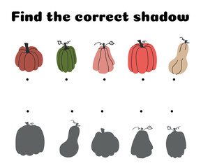 Shadow matching puzzle featuring various pumpkins and gourds with unique shapes and stems for fall learning, kids activities, and visual logic games