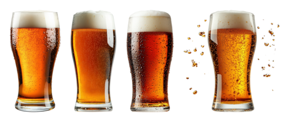 Four tall glasses of amber beer with frothy heads and condensation beverage transparent background