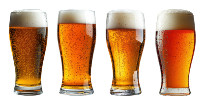 Four tall glasses filled with refreshing beer showcasing effervescence and frothy tops transparent background