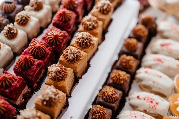 Close-up of assorted gourmet mini pastries with colorful toppings arranged on a tray.