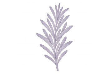 Delicate lavender sprig with transparent backdrop, highlighting botanical tranquility and natural elegance against clean white space