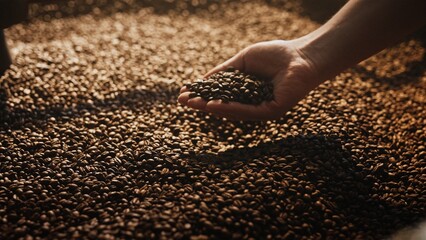 Hand gently releasing roasted coffee beans over large pile under warm light. Assessing roast level and texture while working in cooling tray during final stage of coffee preparation.