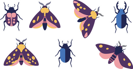 Colorful insect vector set, beetles and moths illustration, flat bug icons collection for design, cartoon entomology clipart, isolated animal graphics