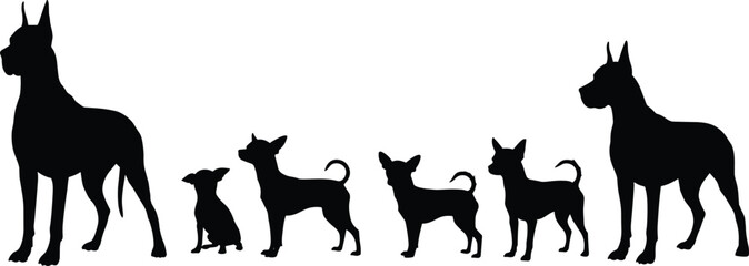 Dog silhouette illustration of Great Danes and Chihuahuas, large and small breeds standing together, isolated black vector on white background for pet designs