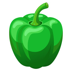 vector illustration of a green pepper