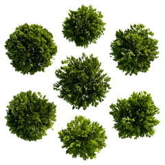 Trees overhead view circular design