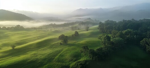 Beautiful summer landscape of green hills and meadows with trees in the background of foggy mountains at sunrise