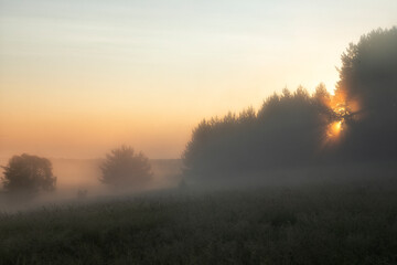 Beautiful summer landscape with the fog lit with a sunrise