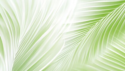 Obraz premium Vector graphic of light green and white lines, symmetrical, in the shape of palm leaves