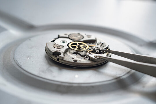 Pocket watch mechanism. Mechanical steel clockwork with cogwheel and screw