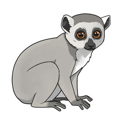 Obraz premium Cartoon illustration of a ring-tailed lemur, sitting calmly.