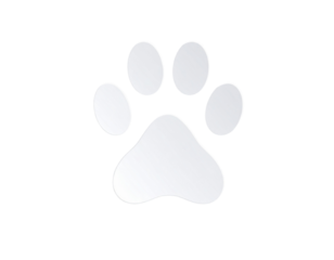A - White Paw Print with Light Textured Surface, Angled Side View, Isolated on Transparent Background.