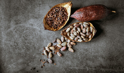 cocoa bean and cocoa nibs, cacao pods on gray background