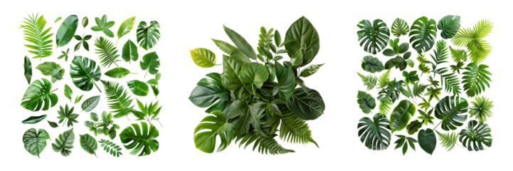 Triptych Composition of Tropical Green Leaves on transparent background Generative AI