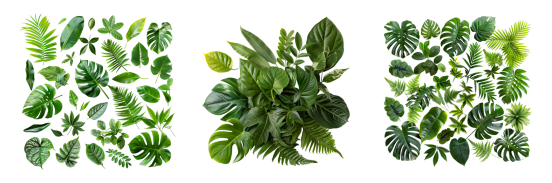 Triptych Composition of Tropical Green Leaves on transparent background Generative AI