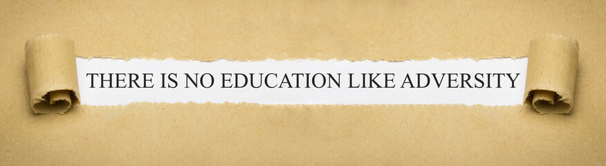There is no education like adversity