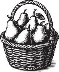 Fototapeta premium Pears in a basket vector illustration