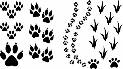 Fototapeta premium Illustration showing various animal footprints including paw prints and bird tracks in black and white