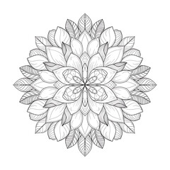 Fototapeta premium vector illustration of a flower