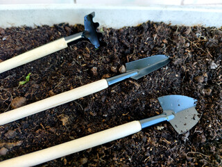Set of mini gardening tools on soil, perfect for planting, cultivation, and home gardening.