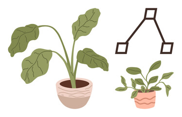 Two leafy plants in decorative pots alongside a geometric diagram of connected rectangles. Ideal for growth, nature, structure, learning, organization, environment, sustainability. Minimalist flat