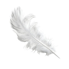 Obraz premium White feather against black background
