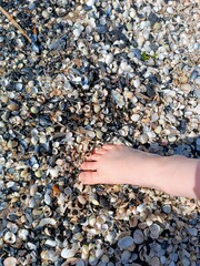 CloseUp View of a Barefoot Foot on a ShellStrewn Beach Setting