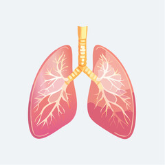 Human heart anatomy vector drawing in a beautiful love design with leaf decoration