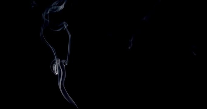 Real smoke on a black background. Thin Flexible Trickle of Real Smoke. Colorful real smoke rises up. Ideal for background or over-layer with blending mode add, screen, lighten.