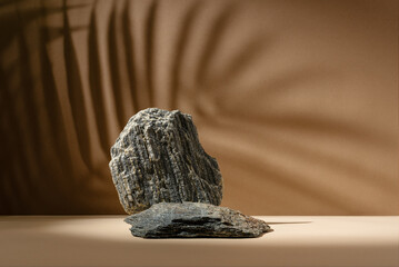 Natural Stone Podium with Palm Shadow on Brown Background