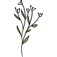 Simple Flower Illustration Isolated