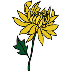 Simple Flower Illustration Isolated