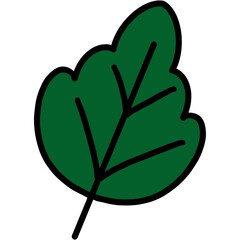 Illustration of a green plant leaf