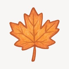 Fototapeta premium Autumn maple leaf illustration.