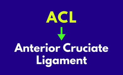 ACL Meaning, Anterior Cruciate Ligament