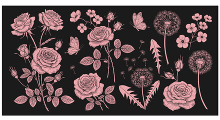 Fototapeta premium Elegant floral patterns with roses and dandelions in vintage botanical design
