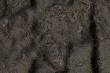 A detailed close-up reveals a dark, textured surface resembling rough, uneven rock or soil.  The image showcases a multitude of crevices, small pits