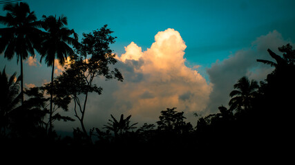 sillhouette tree and blue sky with clouds