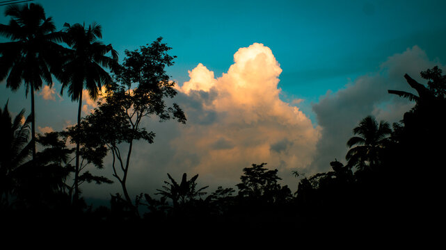 sillhouette tree and blue sky with clouds