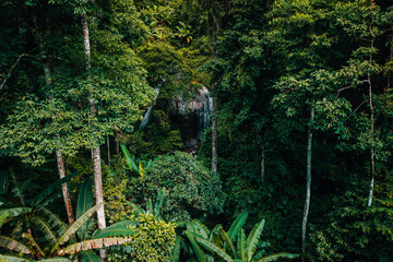 Aerial view of waterfalls and rainforests, forests and environmental conservation