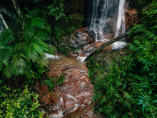 Aerial view of waterfalls and rainforests, forests and environmental conservation