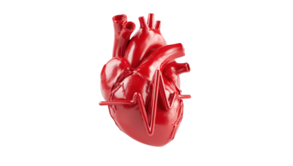 Realistic, vibrant red human heart with EKG line, isolated on black