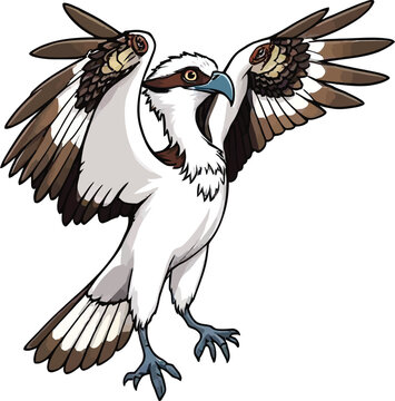 Cute cartoon a illustrator vector osprey 
