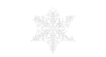 Intricate crystalline snowflake detailed structure on a clean white background, capturing winter's delicate beauty and natural symmetry