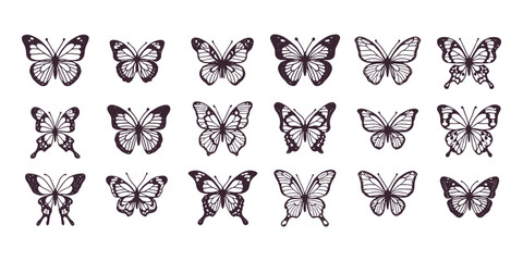 Hand-drawn butterfly collection in vintage engraving style, detailed insect illustrations perfect for nature, botanical, and decorative design. © Chairul