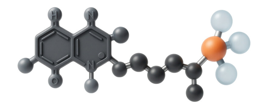 FAD molecule model with isoalloxazine ring and ribitol chain