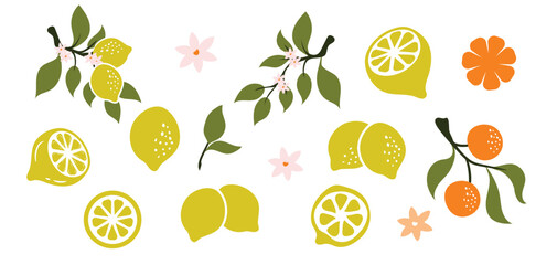 Set of vector illustration of a fresh LEMON with one half cut open and green leaf isolated. the LEMON's texture is clearly. The illustration on white background.