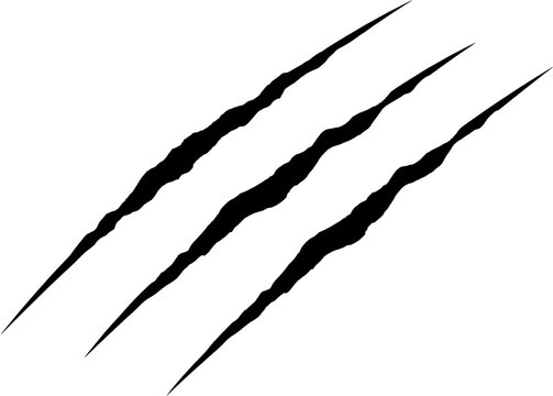 Jagged claw marks ripped across surface symbolizing danger, aggression, wildness, and untamed power