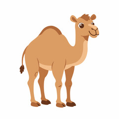 Cute Camel Cartoon Illustration for Kids Coloring Book