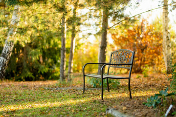 Ornate bench in a sunlit park surrounded by autumn trees and fallen leaves
